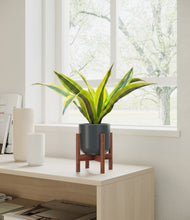 Load image into Gallery viewer, Iron Gray stand:walnut