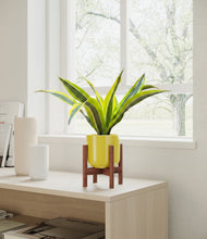 Load image into Gallery viewer, Key Lime Yellow stand:walnut