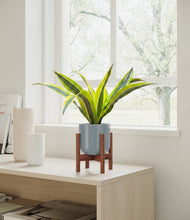 Load image into Gallery viewer, Misty Blue stand:walnut