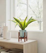 Load image into Gallery viewer, Reactive Aqua stand:walnut