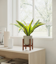 Load image into Gallery viewer, Sage Green stand:walnut