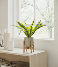 Load image into Gallery viewer, Sage Green stand:bamboo
