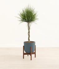 Load image into Gallery viewer, Iron Gray stand:walnut