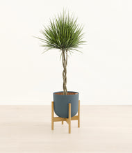 Load image into Gallery viewer, Iron Gray stand:bamboo