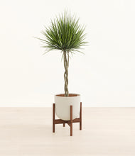Load image into Gallery viewer, Natural Bamboo stand:walnut
