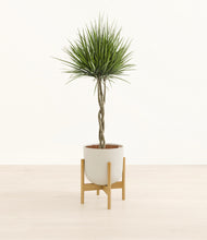 Load image into Gallery viewer, Natural Bamboo stand:bamboo