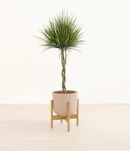 Load image into Gallery viewer, Sandy Pink stand:bamboo