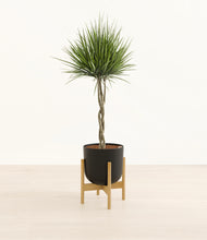 Load image into Gallery viewer, Stone Black stand:bamboo