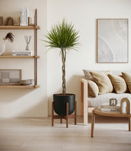 Load image into Gallery viewer, Stone Black stand:walnut