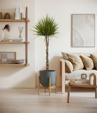 Load image into Gallery viewer, Iron Gray stand:bamboo