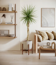 Load image into Gallery viewer, Natural Bamboo stand:walnut