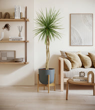 Load image into Gallery viewer, Iron Gray stand:bamboo