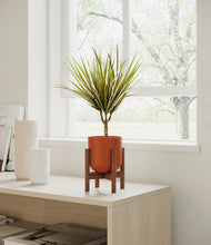Load image into Gallery viewer, Earth Red stand:walnut