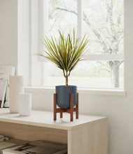 Load image into Gallery viewer, Iron Gray stand:walnut