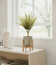 Load image into Gallery viewer, Sage Green stand:bamboo