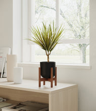 Load image into Gallery viewer, Stone Black stand:walnut