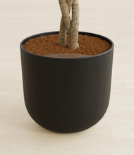 Load image into Gallery viewer, Stone Black stand:all