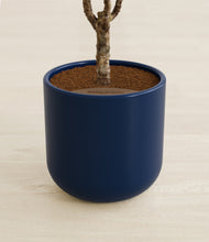 Load image into Gallery viewer, Twilight Blue stand:all