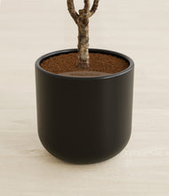 Load image into Gallery viewer, Stone Black stand:all