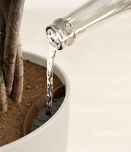 Load image into Gallery viewer, Natural Bamboo stand:all