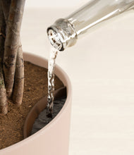 Load image into Gallery viewer, Sandy Pink stand:all