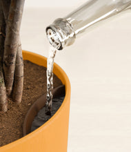 Load image into Gallery viewer, Sunset Orange stand:all