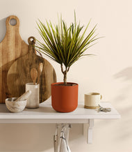 Load image into Gallery viewer, Earth Red