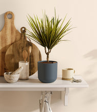 Load image into Gallery viewer, Iron Gray