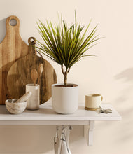 Load image into Gallery viewer, Natural Bamboo