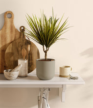 Load image into Gallery viewer, Sage Green