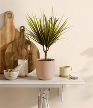 Load image into Gallery viewer, Sandy Pink