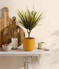 Load image into Gallery viewer, Sunset Orange