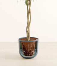 Load image into Gallery viewer, Iron Gray stand:all