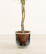 Load image into Gallery viewer, Natural Bamboo stand:all