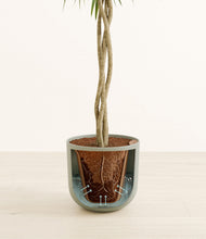 Load image into Gallery viewer, Sage Green stand:all