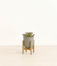 Load image into Gallery viewer, Sage Green stand:bamboo