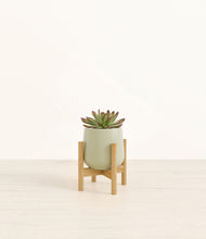 Load image into Gallery viewer, Turquoise stand:bamboo