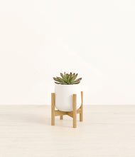 Load image into Gallery viewer, White stand:bamboo