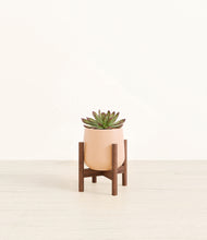 Load image into Gallery viewer, Gentle Pink stand:walnut