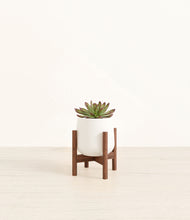 Load image into Gallery viewer, White stand:walnut