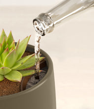 Load image into Gallery viewer, Olive stand:all