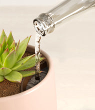 Load image into Gallery viewer, Gentle Pink stand:all