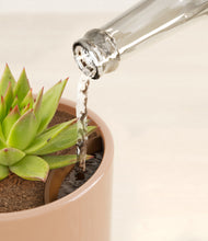 Load image into Gallery viewer, Glossy Pink stand:all