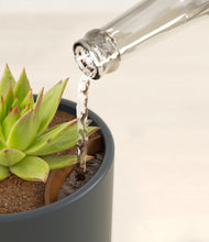 Load image into Gallery viewer, Iron Gray stand:all