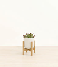Load image into Gallery viewer, Cotton White stand:bamboo
