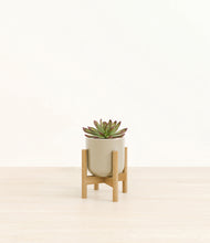 Load image into Gallery viewer, Sage Green stand:bamboo