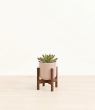 Load image into Gallery viewer, Sandy Pink stand:walnut