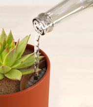 Load image into Gallery viewer, Earth Red stand:all