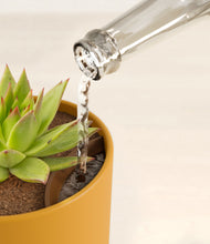 Load image into Gallery viewer, Sunset Orange stand:all