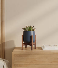 Load image into Gallery viewer, Deep Navy stand:walnut